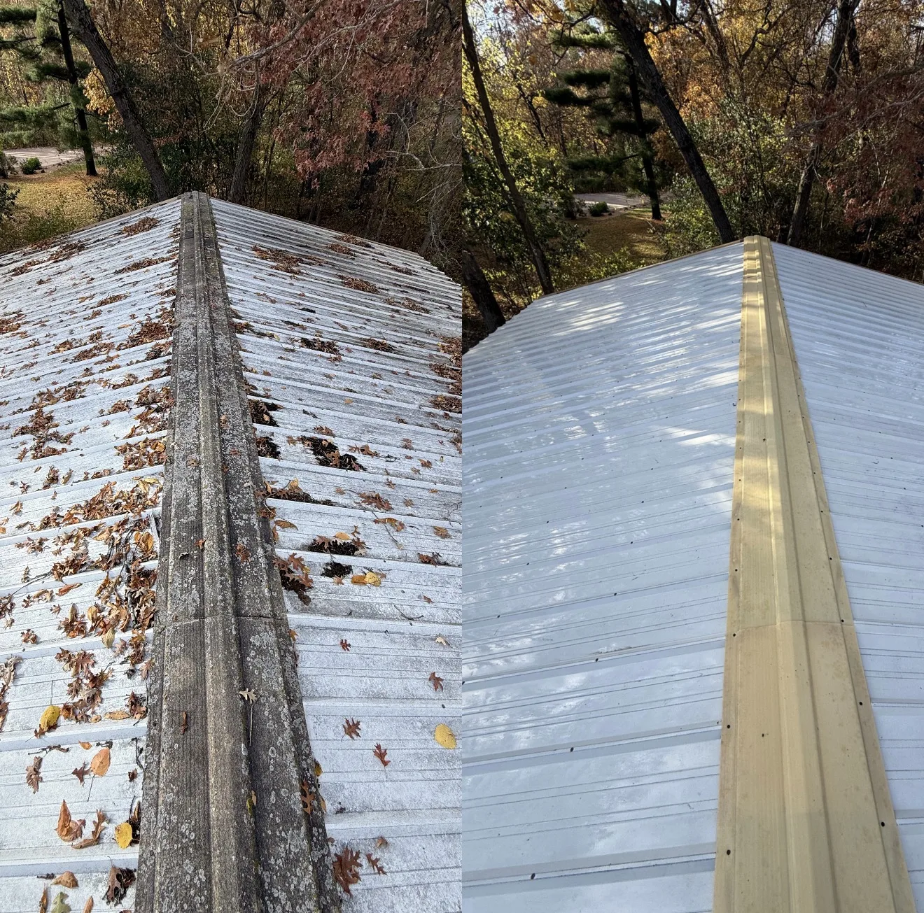 Roof exterior after professional cleaning by Majestic Shine